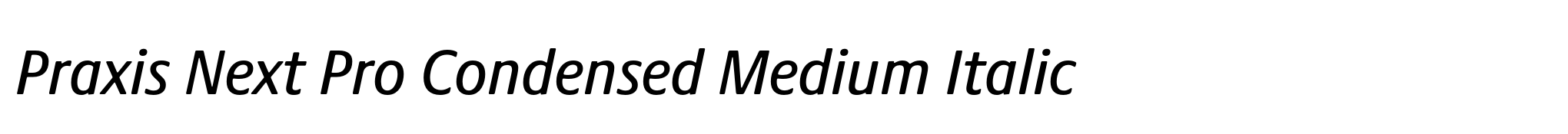 Praxis Next Pro Condensed Medium Italic image
